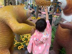 -郑州方特水上乐园