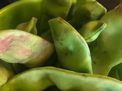 -荣德灶台鱼(圣泉寺店)