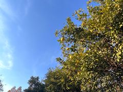 -梁鸿国家湿地公园