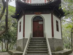 -上海佘山国家森林公园天马山园