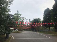 -都江堰中华大熊猫苑