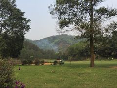 -南宁良凤江国家森林公园