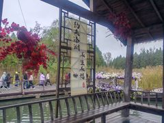 -溱湖国家湿地公园