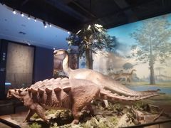 -浙江自然博物院(杭州馆)