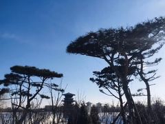 -晋祠公园