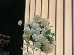-華府Deluxe(兴业太古汇店)