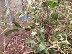 -上海昆虫博物馆