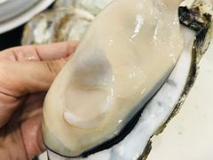 -蚝专家(北滘店)