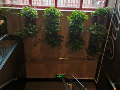 -肯德基(渔阳店)