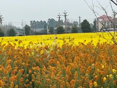 -中国天府农业博览园