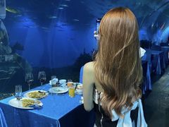 -海棠湾洲际-涛·海底餐厅·美人鱼·自助餐·海底隧道