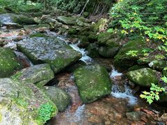 -五女峰国家森林公园