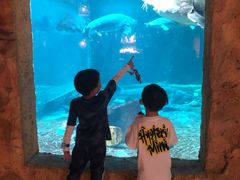 -华夏文旅海洋公园