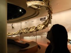 -自贡恐龙博物馆