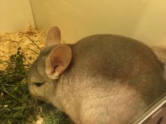 -龙猫仔乐园(惠福东路店)