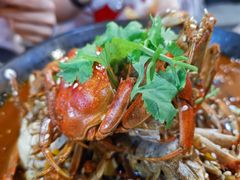 傲骨大闸蟹-二钳洞庭虾蟹·江湖菜(成都鹭岛店)