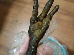 -老号尤兔头(幸福店)