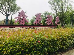 -春花秋色城市公园