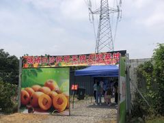 -塘栖枇杷特色园区