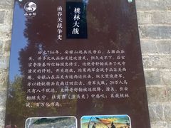 -函谷关历史文化旅游区