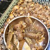 今天我是海鲜控！