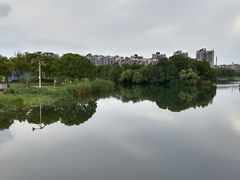 -新江湾城公园