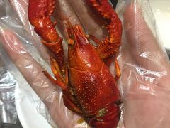 -麻辣港湾(京津公路店)