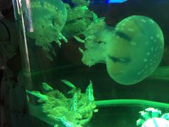 -横店影视城梦幻谷园区