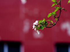 -北极寺公园