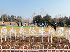 -北京西山国家森林公园