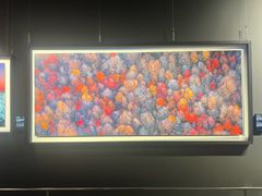 -罗红摄影艺术馆