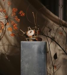 -深圳益田威斯汀酒店·宴会厅