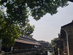 -乌镇东栅景区