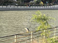 -苏州河梦清园环保主题公园