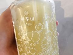 -野萃山·潮汕厚果汁(十亩地店)