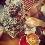 第一次探店献给了咖法森林！