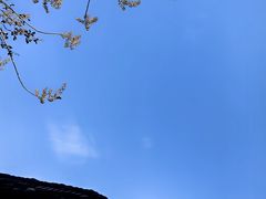 -乌镇景区