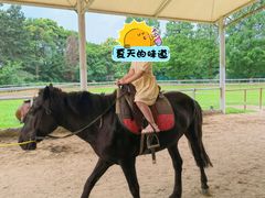 -太阳岛度假酒店