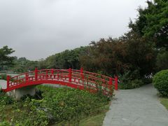 -东莞植物园