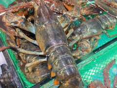 -79号渔船海鲜饭店(宝安店)