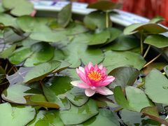 -终南山南五台景区