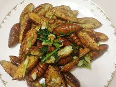 -好孕妈妈月嫂(哈尔滨总店)