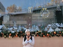 -紫荆广场·花漫里