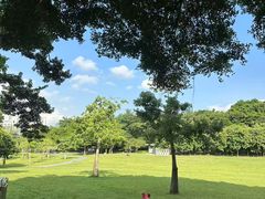 -莲花山公园