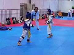 -陈中跆拳道(中关村馆)