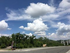 -峡谷浮石林景区