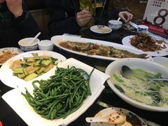 -煲来饱去冷水鱼