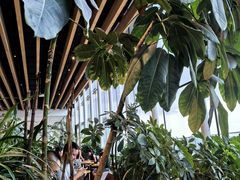 -Seesaw Coffee(朝阳大悦城店)