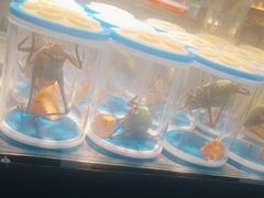 -宝鸡东道花鸟鱼虫市场(吉利花园商场店)