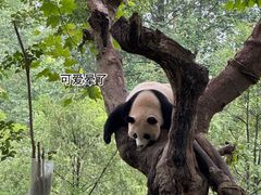 -奎星楼街